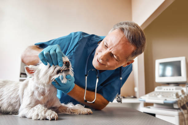 Best Pediatric Emergency Dentist in Barnwell, SC